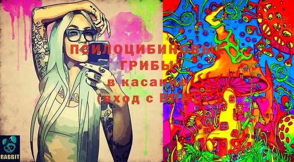 шишки Алексеевка