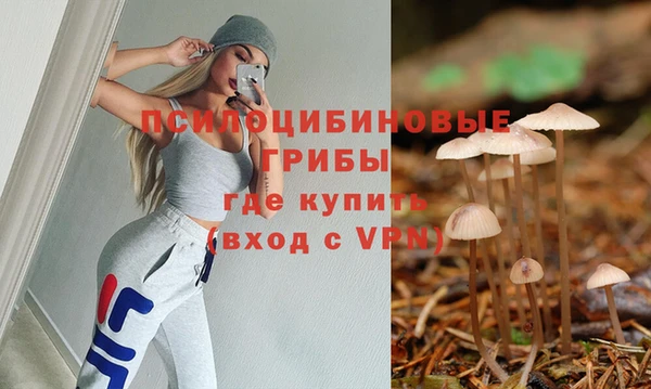 шишки Алексеевка