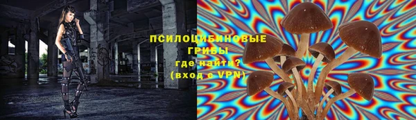 первитин Алексин