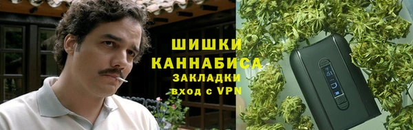 шишки Алексеевка