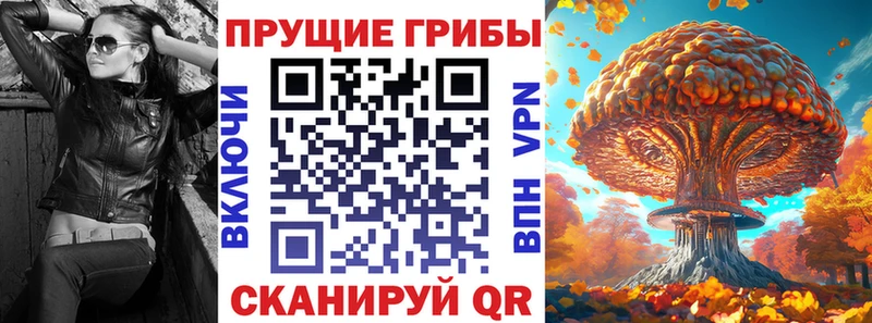 Галлюциногенные грибы Psilocybine cubensis  Купить  Томск 